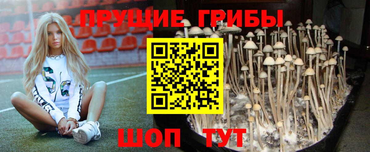 Галлюциногенные грибы ЛСД  Вход с VPN  Кировск 